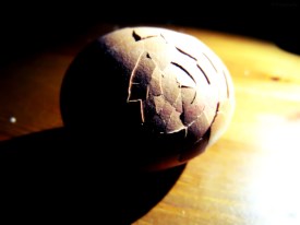 Foto: esteepictures.wordpress.com